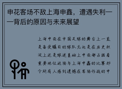 申花客场不敌上海申鑫，遭遇失利——背后的原因与未来展望