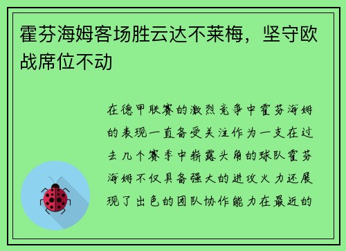 霍芬海姆客场胜云达不莱梅，坚守欧战席位不动