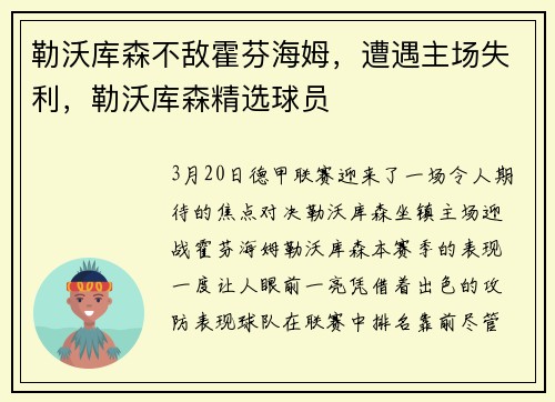 勒沃库森不敌霍芬海姆，遭遇主场失利，勒沃库森精选球员