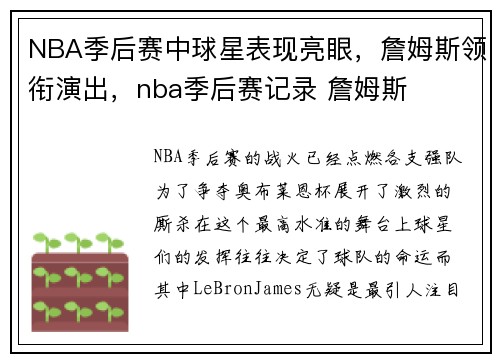 NBA季后赛中球星表现亮眼，詹姆斯领衔演出，nba季后赛记录 詹姆斯
