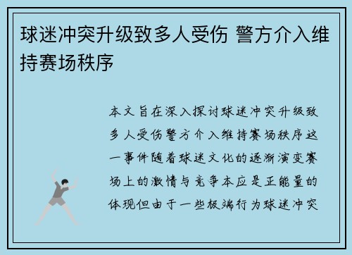 球迷冲突升级致多人受伤 警方介入维持赛场秩序