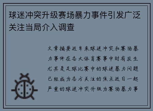 球迷冲突升级赛场暴力事件引发广泛关注当局介入调查